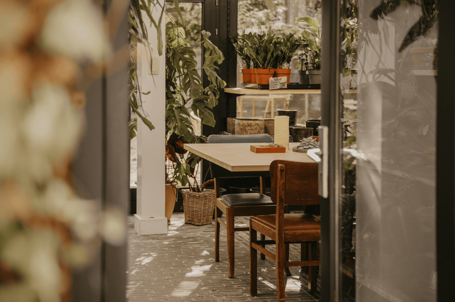 Ontdek Onze planten & accessoires in store