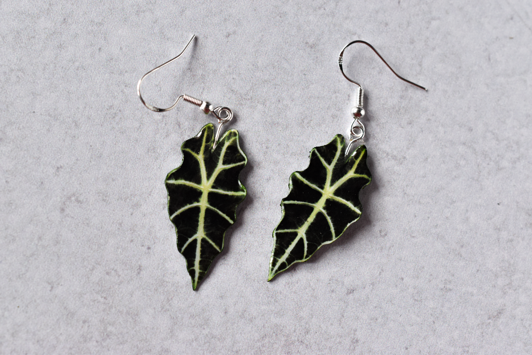 Alocasia Polly Plant Earrings