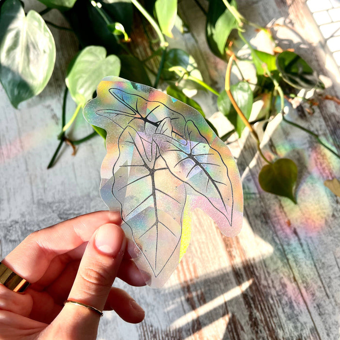 Sun Catcher Stickers - Alocasia Frydek Leaves