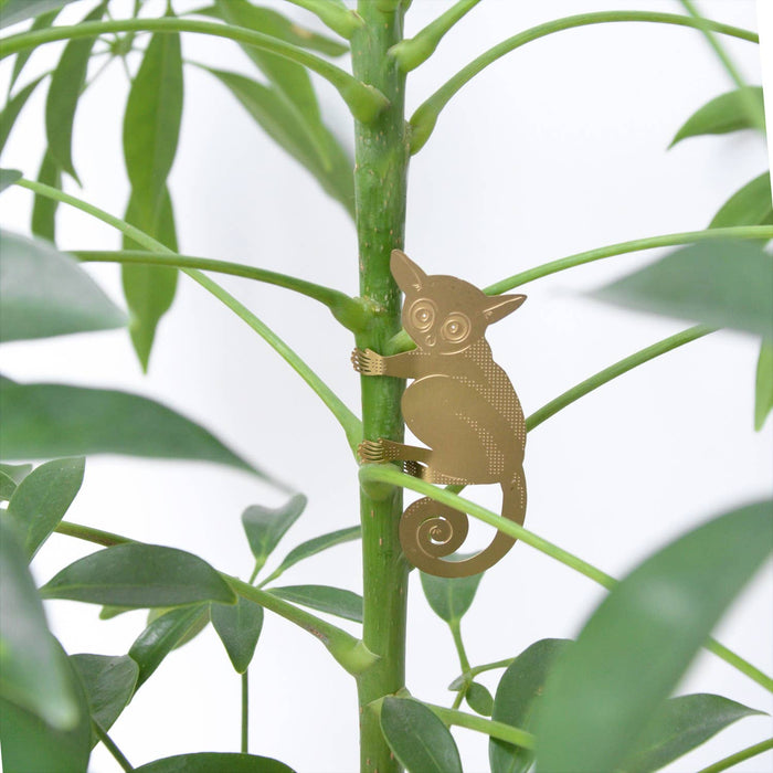 Plant Animal - Bush Baby, hanging decoration - Stera
